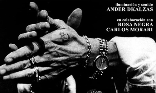 ASOCIACIÓN CULTURAL AL-ANDALUS - "CAMARÓN POR Y PARA SIEMPRE"
